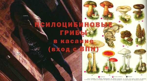 крисы Алексин