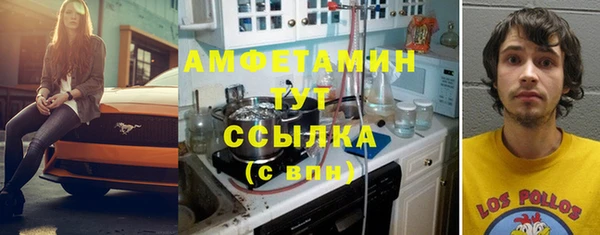 молекула духа Алексеевка
