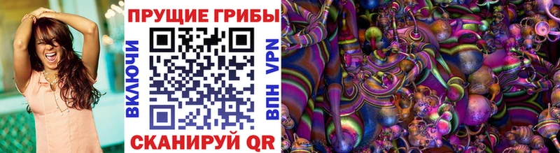 Псилоцибиновые грибы Psilocybe  Усмань 